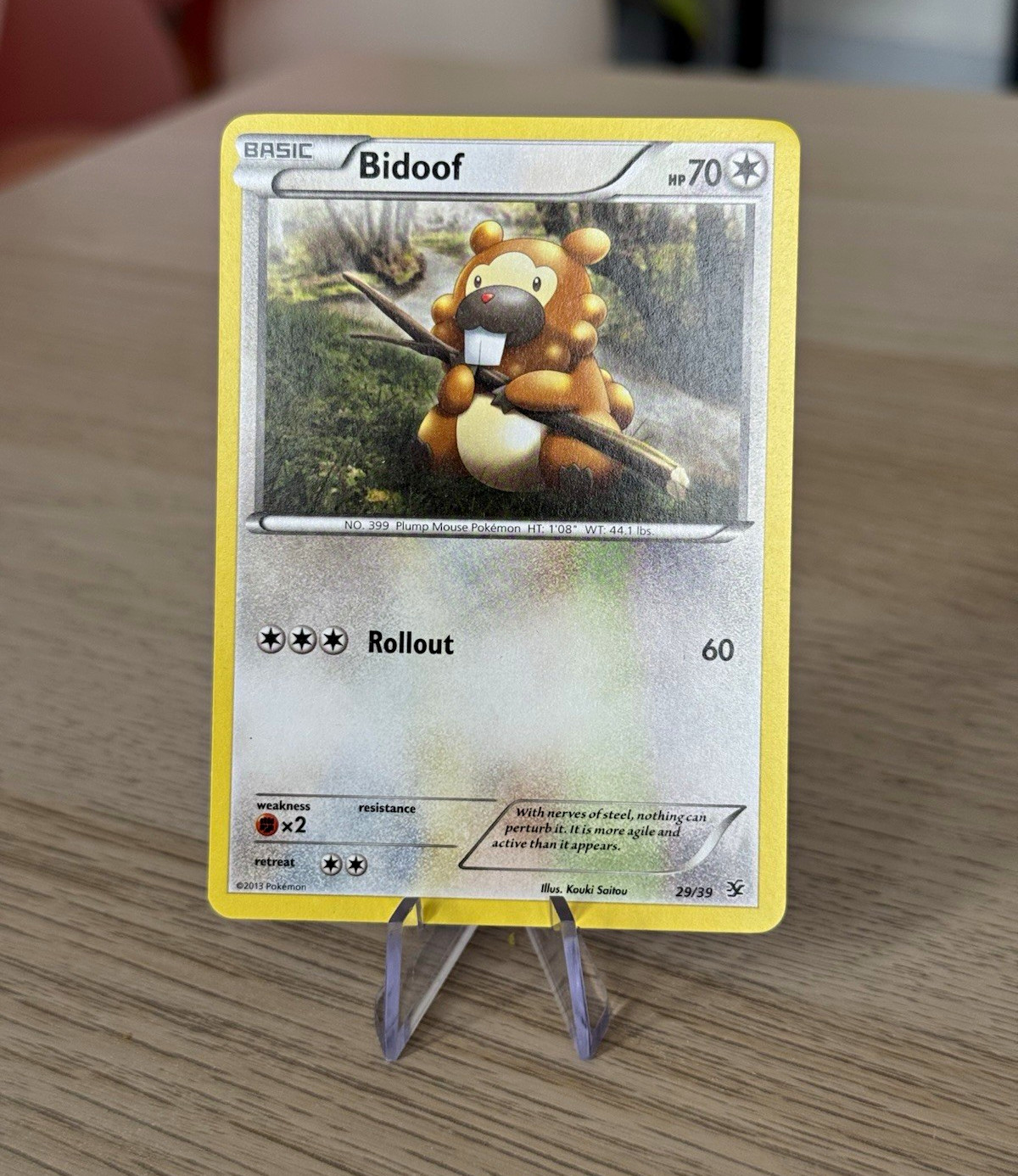 Pokemon - Bidoof 29/39 - Kalos Starter Set - NM