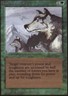 1x Aspect of Wolf Light Play, English Collectors' Edition - International MTG Ma