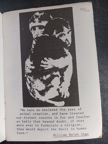 Animals Larry Law Spectacular Times Pocketbook 10 Situationism anarchist 1986 - Picture 4 of 5