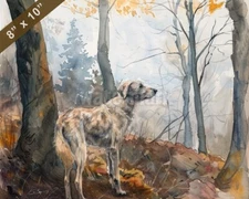 Irish Wolfhound watercolor painting in a tranquil forest 8x10 Print 