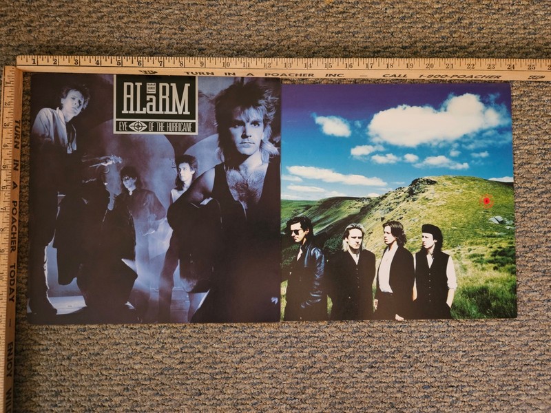 The Alarm Promotional Poster Flats 12 X 12 Rare