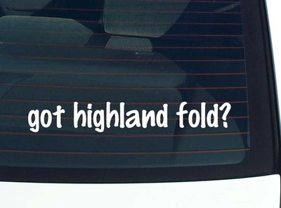 got highland fold? CAR DECAL BUMPER STICKER VINYL FUNNY JOKE WINDOW