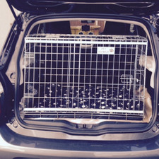 Caisse de voiture pour chien pour Smart ForFour à partir de 2014 - Cage de voyage sur mesure