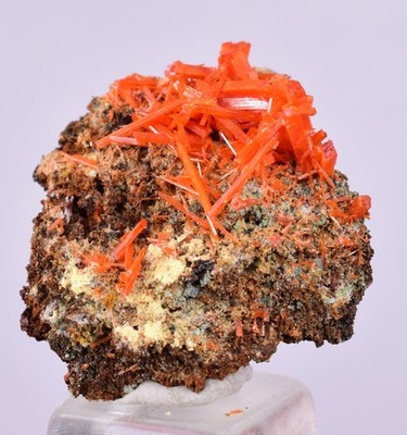 2 cm EDELSTEIN ROTE KROKOITKRISTALLE CLUSTER MATRIX ADELAIDE MINE AUSTRALIEN ...