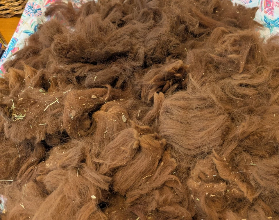 Raw Alpaca Fleece Wool Seconds, Spinning Felting Crafts, Chocolate Brown, 8 Oz - Image 2 of 3