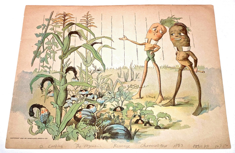 • Six Pages from 1897 1st ed. VEGE-MEN'S REVENGE by Florence & Bertha Upton •