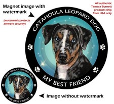 Catahoula Leopard Dog My Best Friend Dog Car Magnet