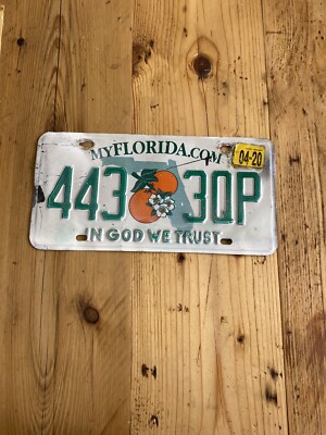 Oldtimer Florida - In God We Trust US Auto Nummernschild 443 3QP