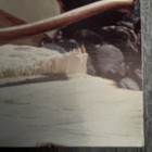 Bild 2 von 24