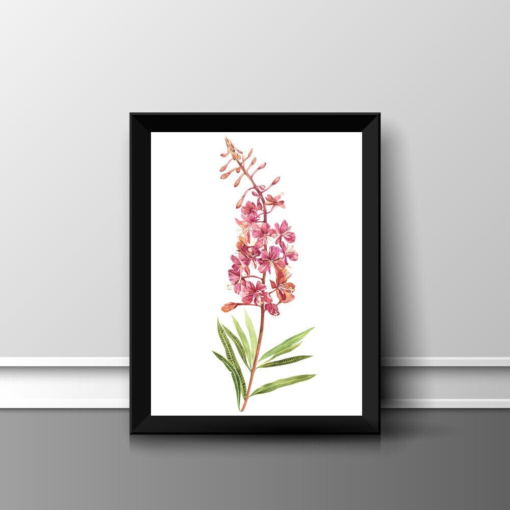 BOTANICAL FLOWER PRINT PICTURE POSTER WALL ART HOME DECOR UNFRAMED GIFT