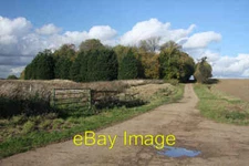 Photo 6x4 Clay Drift and Springhill Covert Colton/TL8766 The bridleway k c2008