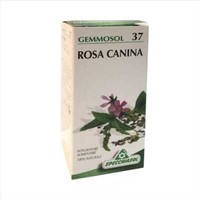 Specchiasol Gemmosol 37 Rosa Canina Soluzioni Idroalcolica 50 Ml