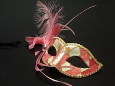 Surprise birthday Fundraising cocktail Dinner Masquerade Ball Mask Costume Fun