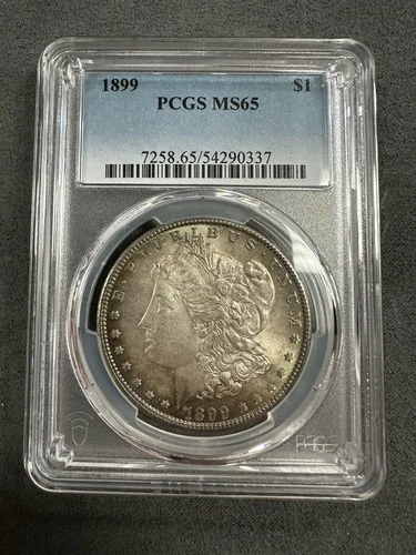 1899 Morgan Silver Dollar PCGS MS65 Toned
