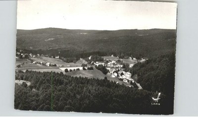 Le Hohwald Foret