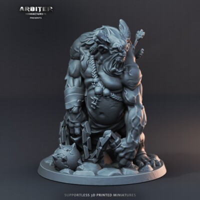 AKS2 Troll-02  DnD Tabletop Pathfinder Heroquest Miniature detailed 28mm