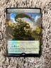 MTG- Stirring Wildwood x1 - Ultimate Masters Borderless Box Topper FOIL