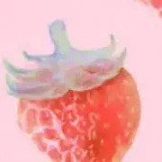 COACH Cherry Pattern Heart Coin Case Keyholder Le… - image 2