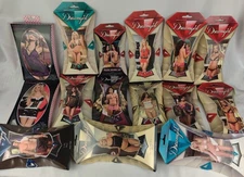 Lot 15 Adult Womens Costumes and Props, Dreamgirl / Seven Til Midnight