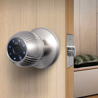 Smart Lock Keyless Entry Türschloss Fingerabdruck Türknauf TY App Remote Ac 3R8K