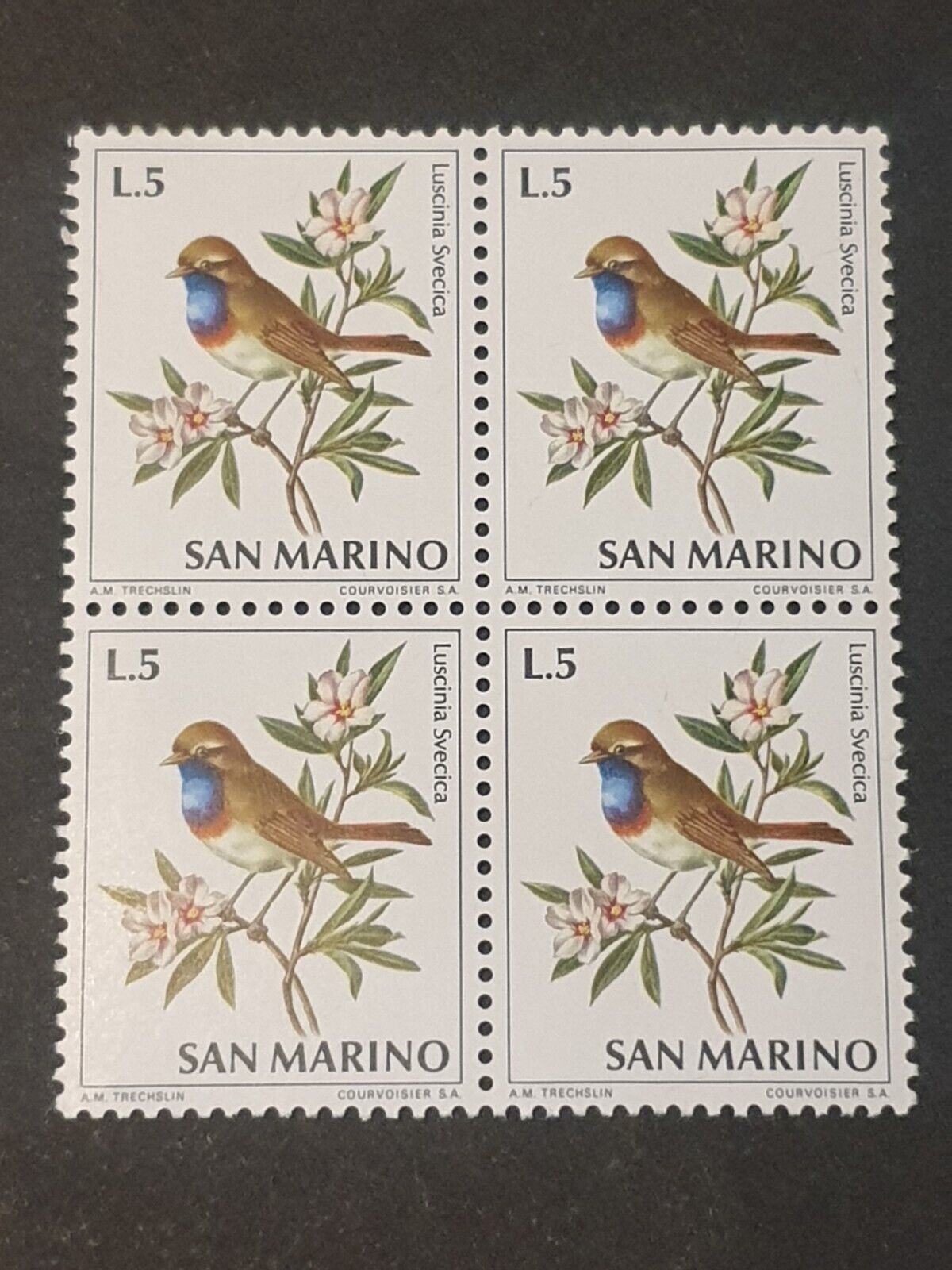 Foto 1 di 1