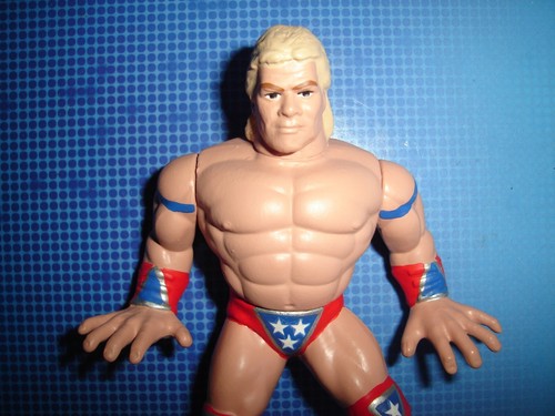 FIGURA DE LEX LUGER HASBRO PERSONALIZADA EE. UU. ERA WWF LUCHA LIBRE RARA WWE WCW RETRO NWA - Imagen 2 de 3