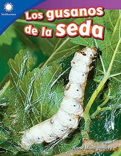 Los Gusanos de la Seda von Montgomery, Anne - Bild 1 von 1