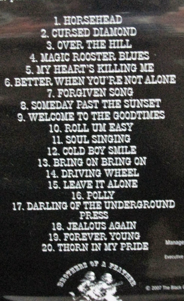 Chris & Rich Robinson - Brothers Of A Feather DVD Music