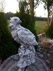 Bild 4 von 5