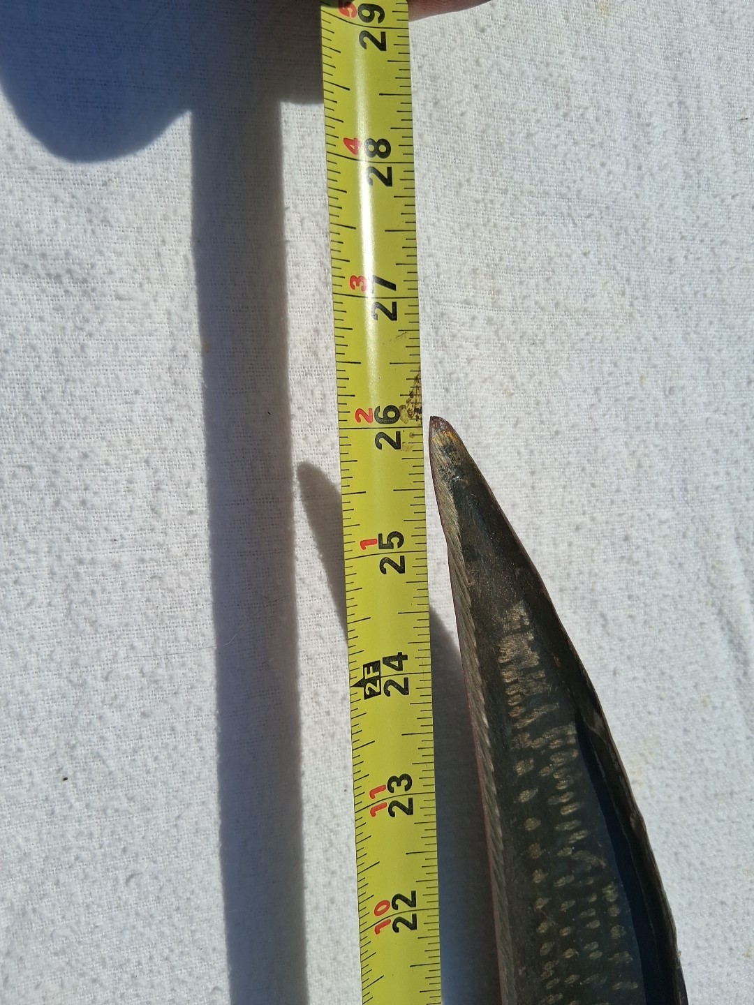 Picture 6 of 19