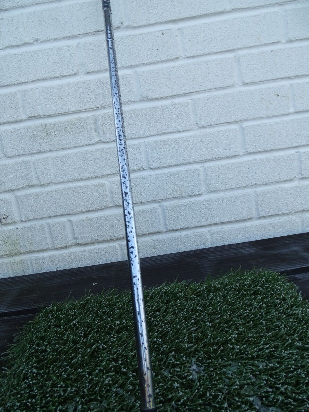 Picture 10 of 12