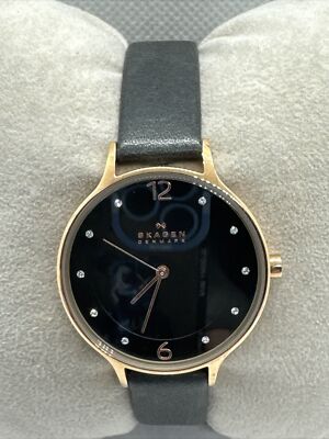 Skagen Anita Lille SKW2267 Women Charcoal Leather Analog Dial