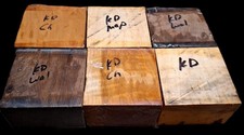 SIX KILN DRIED BOWL BLANK WALNUT CHERRY MAPLE TURNING LUMBER WOOD 6" X 6" X 2"