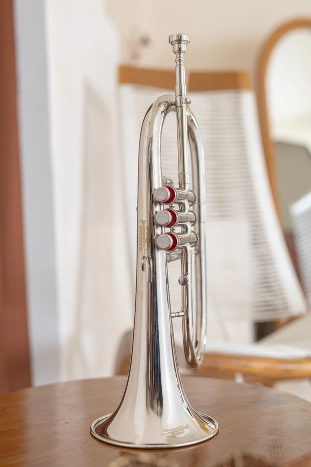 镍面 Bb 3v FLUGEL-HORN 最佳优质仪器 FLUGELHORN BRASS。 — 第 4/4 张图片