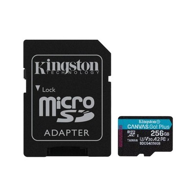 Kingston Canvas Go! Plus 256GB microSDXC Karte und Adapter (SDCG4/256GB)
