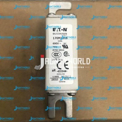1PCS NEW NEW     quick fuse 170M1318 fuse 125A 690V #am