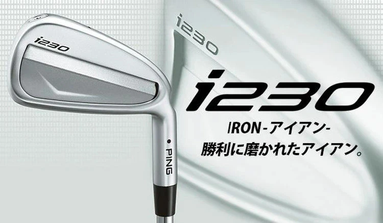Ping Golf i230 Iron Set 5-pw / Dynamic Gold EX Tour Issue X100 - Image 2 of 4