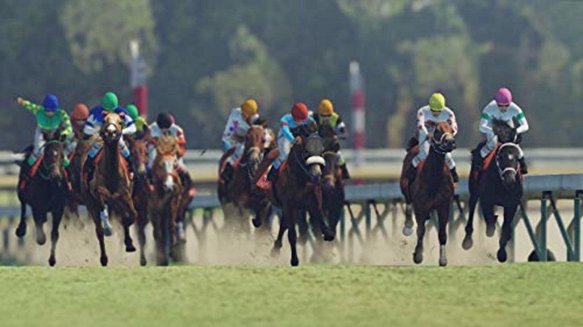PlayStation4 - PS4「Winning Post 9 2020 PS4 Winning Post 9 Sony PlayStation 4 Horse racing