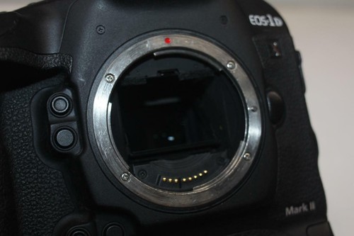 Canon EOS-1D X Mark II 20.2MP Digital SLR Camera - Black (Body Only) - Picture 8 of 11