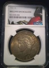 1922 Peace Silver Dollar NGC-Brilliant Uncirculated-New Slab-Toner !!!