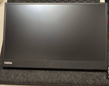 Lenovo ThinkVision M14 14