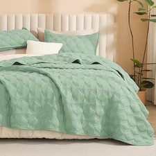 Sage Green Quilts Queen Size Bedding Set - Full Full/Queen 06 - Sage Green
