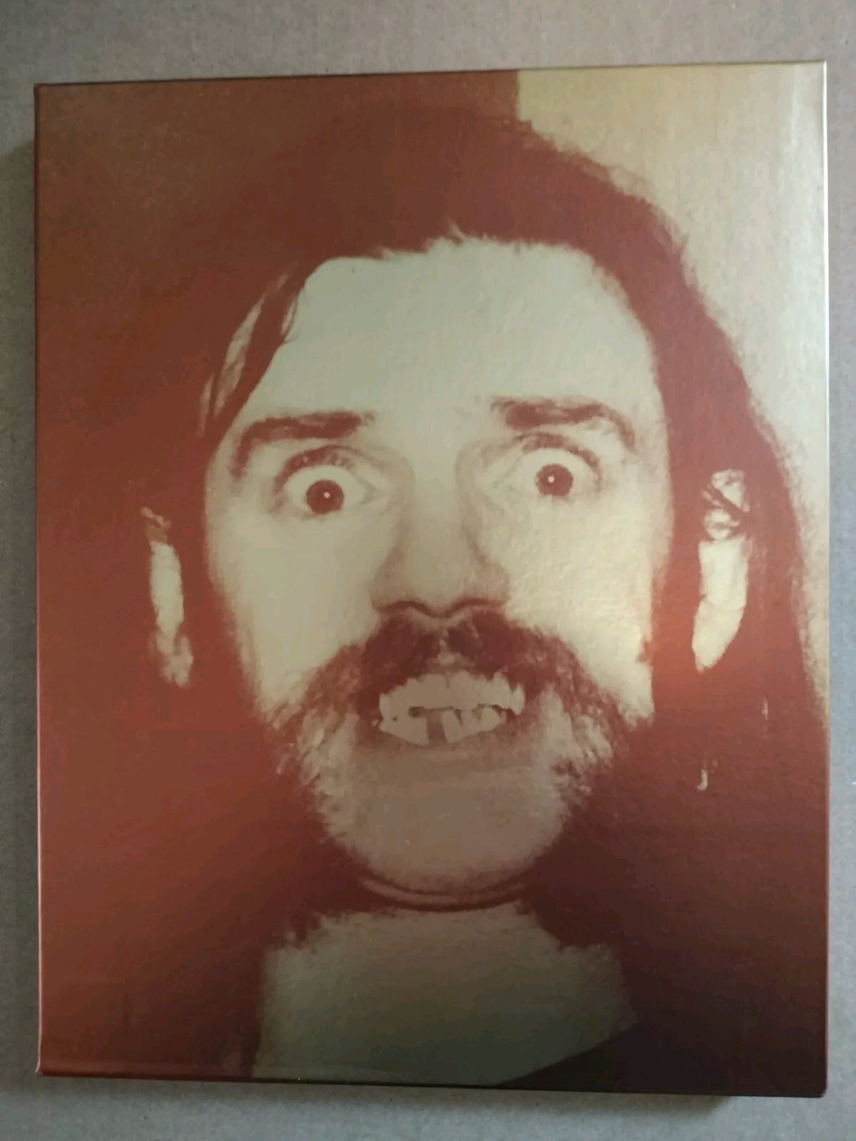 Ye Book of Inconsequential Scribbles by Lemmy | eBay