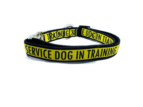 Service Dog in Training Collar 1" Adjustable Service Dog Gear Dog Collar
