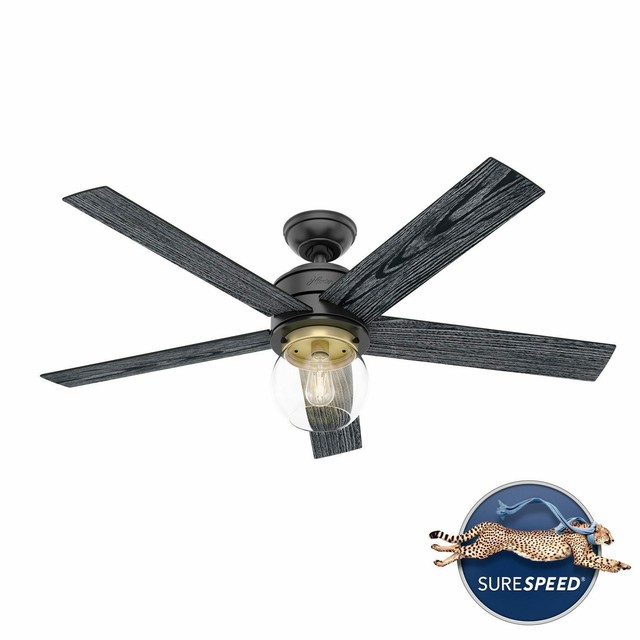 Hunter Freya 52 In. LED Indoor Matte 