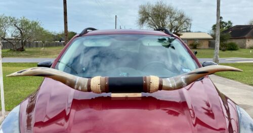 XLg MOUNTED STEER BULL HORNS COW BOY HORN LONGHORNS 4' ft 58" Tip to Tip LONG - Picture 8 of 8