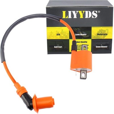 Ignition Coil Compatible with PW50 PW80 Bear Tracker 250 CG50 CW50 G50T Loncin P