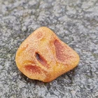 Raw Amber Stone Natural From Baltic sea Unpolished Nugget Butterscotch 8.6 Grams