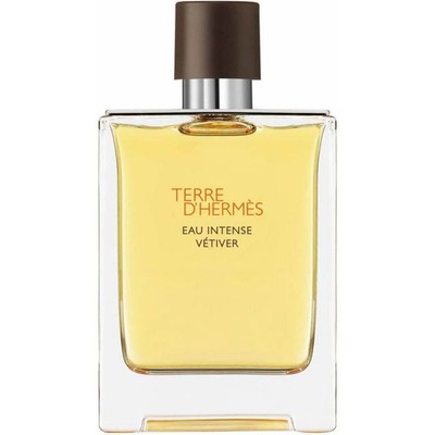 Terre D'Hermes Eau Intense Vetiver Hermes cologne men EDP 3.3 / 3.4 oz New