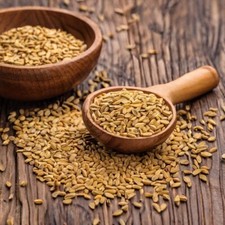 Fenugreek Seed 4oz Trigonella Foenum Graecum Premium High Grade USA